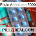 Anaconda 5000 Pill viagra3